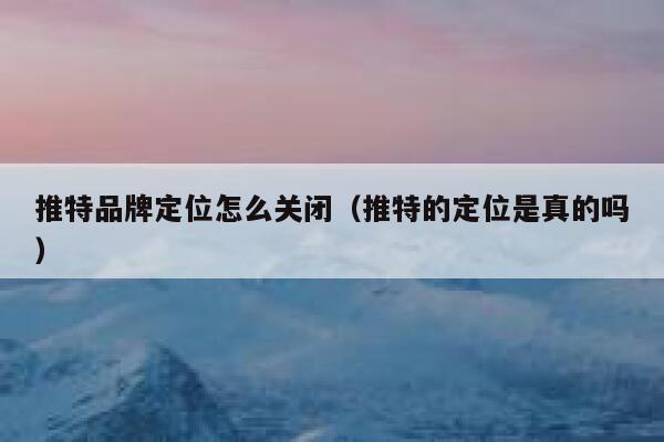 推特品牌定位怎么关闭（推特的定位是真的吗） 第1张