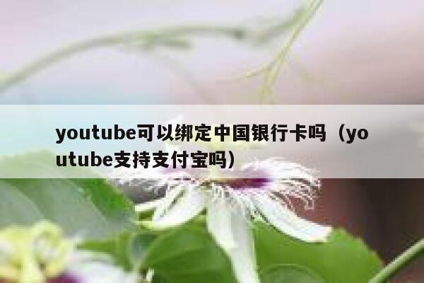 youtube可以绑定中国银行卡吗（youtube支持支付宝吗） 第1张