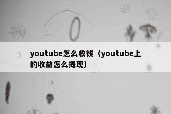 youtube怎么收钱（youtube上的收益怎么提现） 第1张