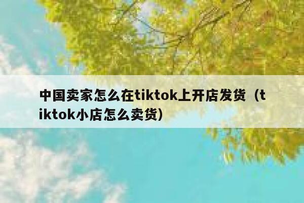 中国卖家怎么在tiktok上开店发货（tiktok小店怎么卖货） 第1张