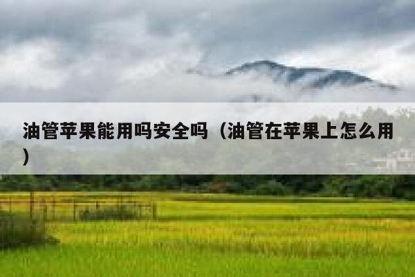 油管苹果能用吗安全吗（油管在苹果上怎么用） 第1张