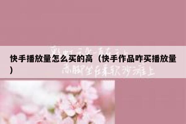 快手播放量怎么买的高（快手作品咋买播放量） 第1张