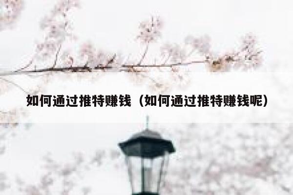 如何通过推特赚钱（如何通过推特赚钱呢） 第1张