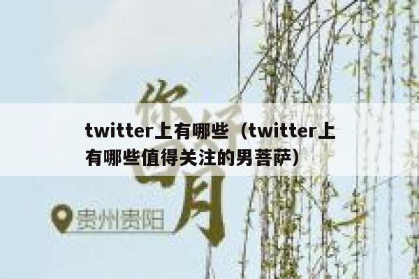 twitter上有哪些（twitter上有哪些值得关注的男菩萨） 第1张