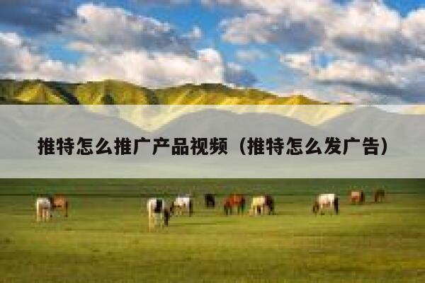 推特怎么推广产品视频（推特怎么发广告） 第1张