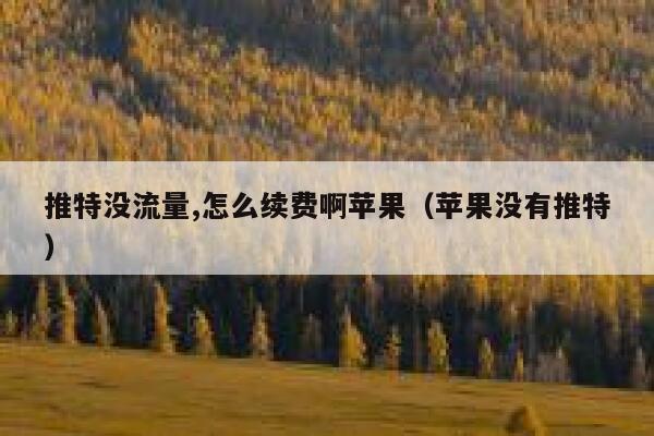 推特没流量,怎么续费啊苹果(苹果没有推特) 第1张 推特没流量,怎么续费啊苹果(苹果没有推特) 第1张