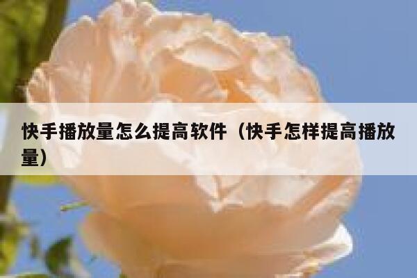 快手播放量怎么提高软件(快手怎样提高播放量) 第1张 快手播放量怎么提高软件(快手怎样提高播放量) 第1张