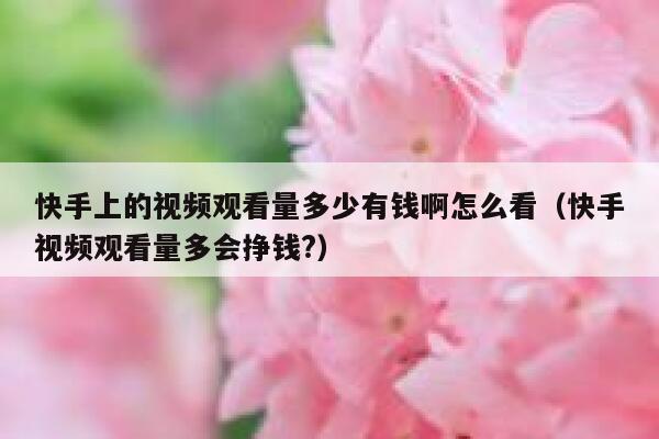快手上的视频观看量多少有钱啊怎么看(快手视频观看量多会挣钱?) 第1张 快手上的视频观看量多少有钱啊怎么看(快手视频观看量多会挣钱?) 第1张