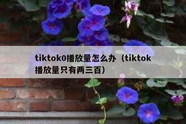 tiktok0播放量怎么办（tiktok播放量只有两三百） 第1张