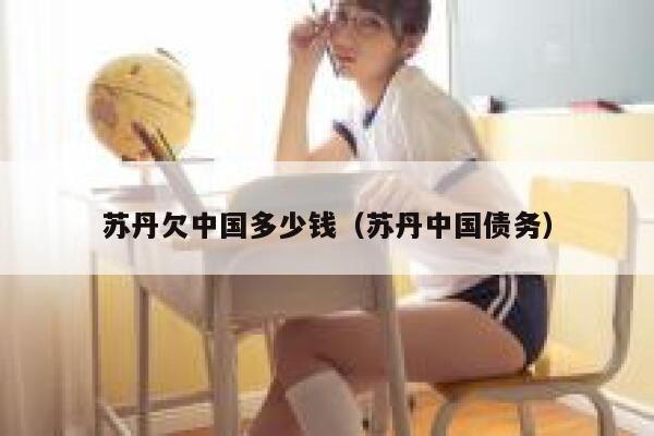 苏丹欠中国多少钱（苏丹中国债务） 第1张