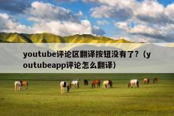 youtube评论区翻译按钮没有了?（youtubeapp评论怎么翻译） 第1张