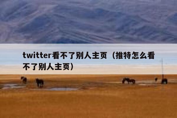 twitter看不了别人主页（推特怎么看不了别人主页） 第1张