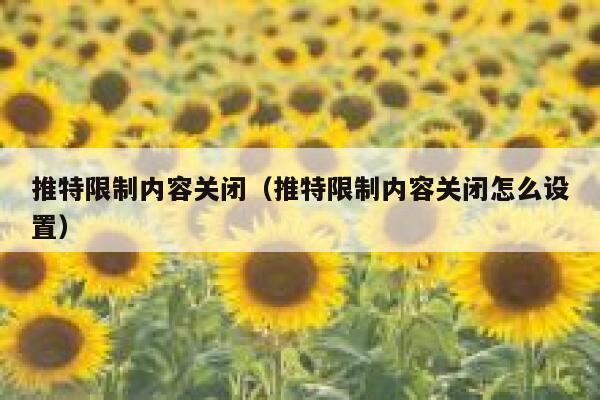 推特限制内容关闭(推特限制内容关闭怎么设置) 第1张 推特限制内容关闭(推特限制内容关闭怎么设置) 第1张