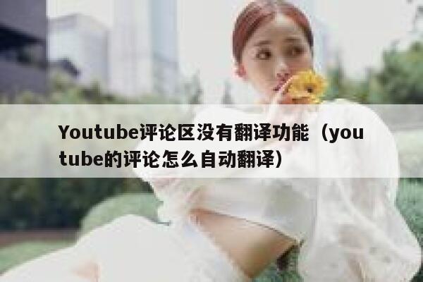 Youtube评论区没有翻译功能(youtube的评论怎么自动翻译) 第1张 Youtube评论区没有翻译功能(youtube的评论怎么自动翻译) 第1张