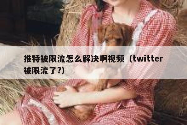 推特被限流怎么解决啊视频(twitter被限流了?) 第1张 推特被限流怎么解决啊视频(twitter被限流了?) 第1张