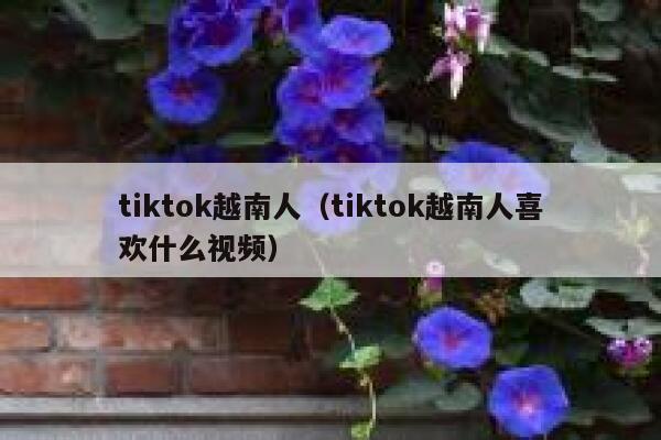 tiktok越南人（tiktok越南人喜欢什么视频） 第1张