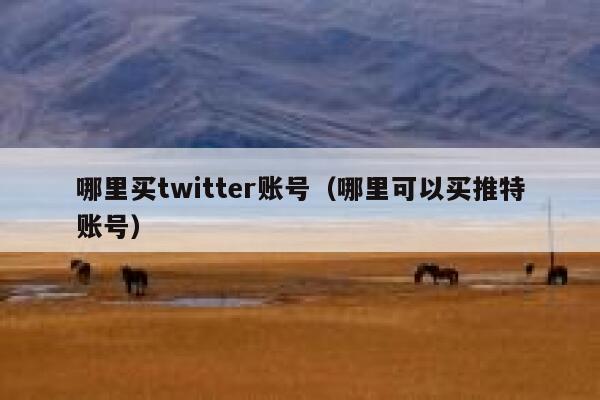 哪里买twitter账号(哪里可以买推特账号) 第1张 哪里买twitter账号(哪里可以买推特账号) 第1张