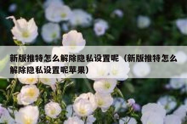 新版推特怎么解除隐私设置呢(新版推特怎么解除隐私设置呢苹果) 第1张 新版推特怎么解除隐私设置呢(新版推特怎么解除隐私设置呢苹果) 第1张