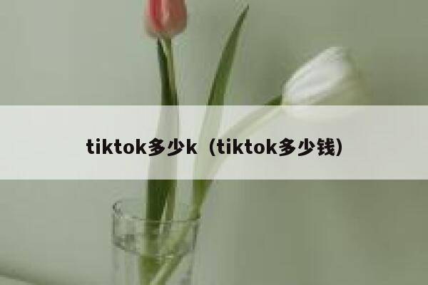 tiktok多少k（tiktok多少钱） 第1张