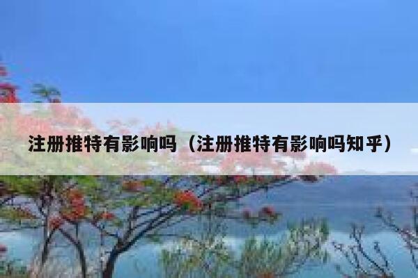注册推特有影响吗（注册推特有影响吗知乎） 第1张