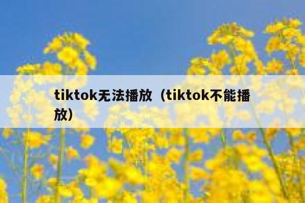 tiktok无法播放（tiktok不能播放） 第1张