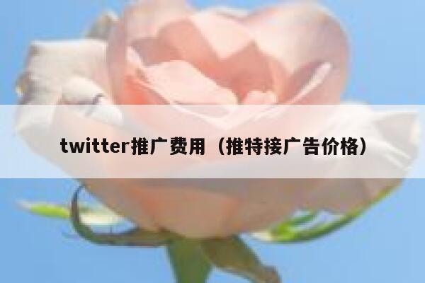 twitter推广费用(推特接广告价格) 第1张 twitter推广费用(推特接广告价格) 第1张