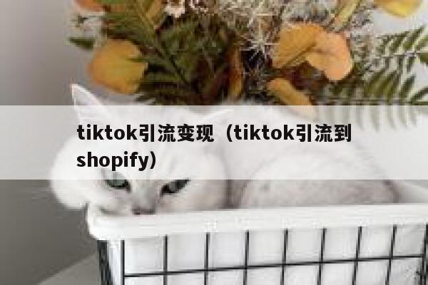 tiktok引流变现(tiktok引流到shopify) 第1张 tiktok引流变现(tiktok引流到shopify) 第1张