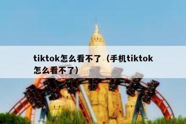 tiktok怎么看不了（手机tiktok怎么看不了） 第1张