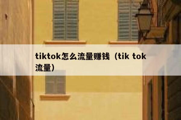 tiktok怎么流量赚钱（tik tok流量） 第1张