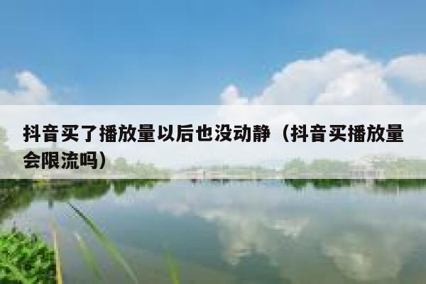 抖音买了播放量以后也没动静（抖音买播放量会限流吗） 第1张