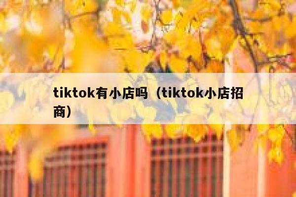 tiktok有小店吗（tiktok小店招商） 第1张