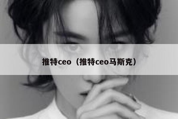 推特ceo(推特ceo马斯克) 第1张 推特ceo(推特ceo马斯克) 第1张