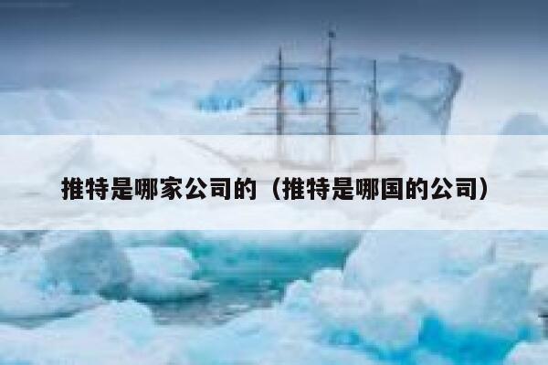 推特是哪家公司的（推特是哪国的公司） 第1张