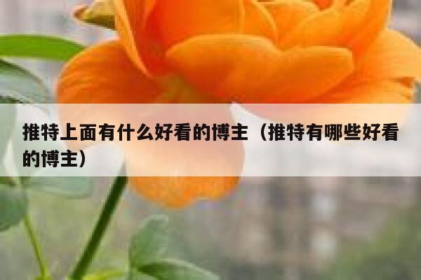 推特上面有什么好看的博主(推特有哪些好看的博主) 第1张 推特上面有什么好看的博主(推特有哪些好看的博主) 第1张