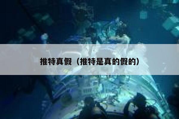 推特真假（推特是真的假的） 第1张