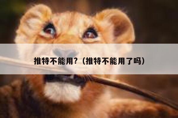 推特不能用?（推特不能用了吗） 第1张