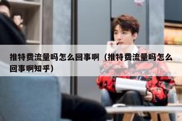 推特费流量吗怎么回事啊（推特费流量吗怎么回事啊知乎） 第1张