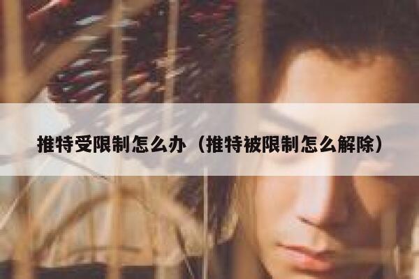 推特受限制怎么办(推特被限制怎么解除) 第1张 推特受限制怎么办(推特被限制怎么解除) 第1张