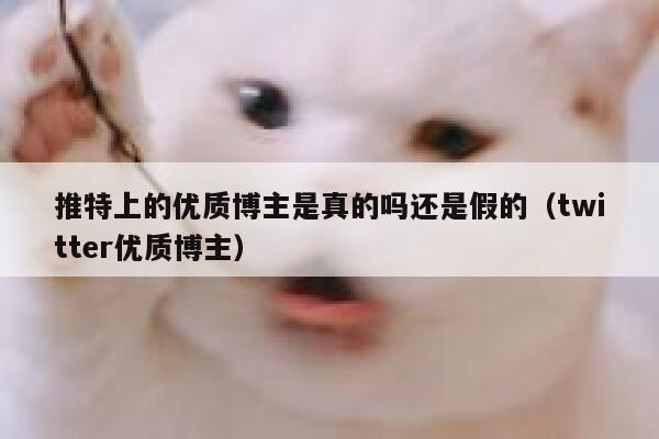 推特上的优质博主是真的吗还是假的（twitter优质博主） 第1张