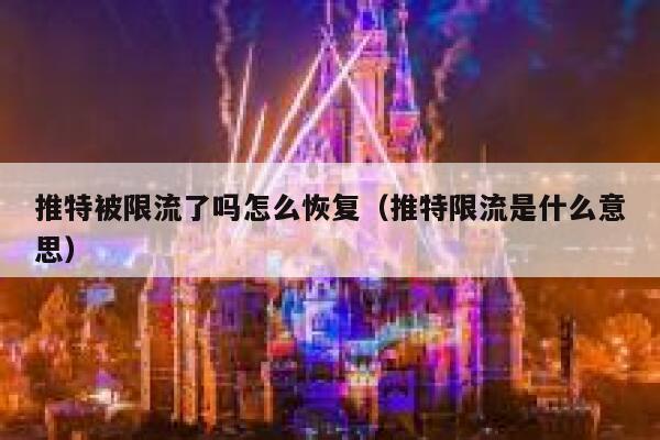 推特被限流了吗怎么恢复（推特限流是什么意思） 第1张