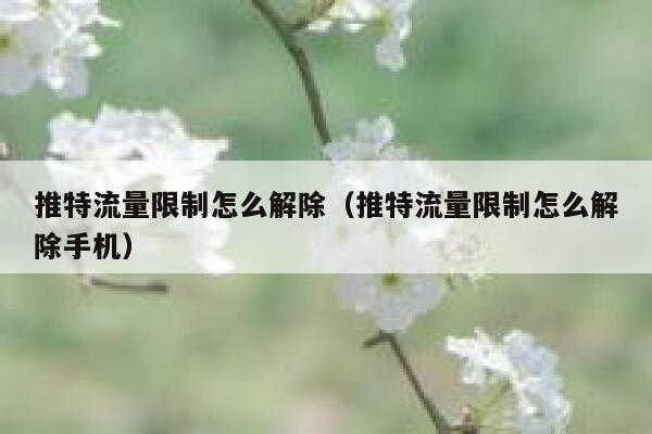 推特流量限制怎么解除（推特流量限制怎么解除手机） 第1张