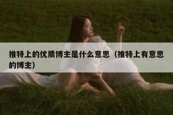 推特上的优质博主是什么意思（推特上有意思的博主） 第1张