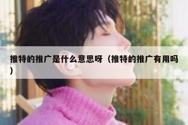 推特的推广是什么意思呀（推特的推广有用吗） 第1张