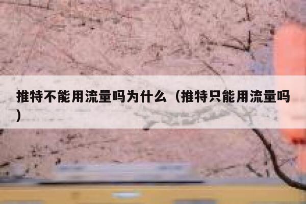 推特不能用流量吗为什么（推特只能用流量吗） 第1张