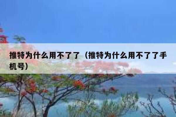 推特为什么用不了了（推特为什么用不了了手机号） 第1张