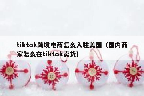tiktok跨境电商怎么入驻美国（国内商家怎么在tiktok卖货） 第1张