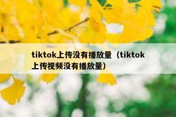tiktok上传没有播放量（tiktok上传视频没有播放量） 第1张