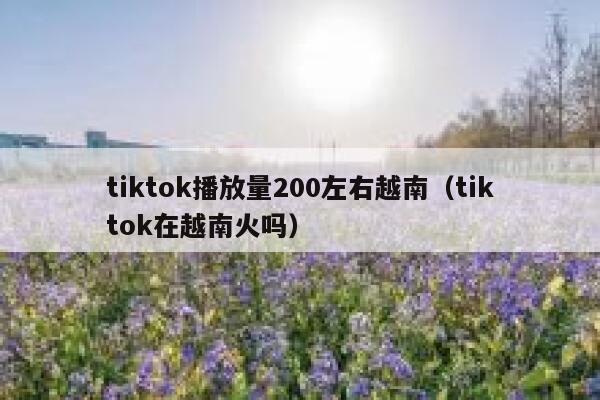 tiktok播放量200左右越南(tiktok在越南火吗) 第1张 tiktok播放量200左右越南(tiktok在越南火吗) 第1张