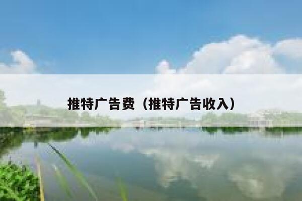 推特广告费(推特广告收入) 第1张 推特广告费(推特广告收入) 第1张