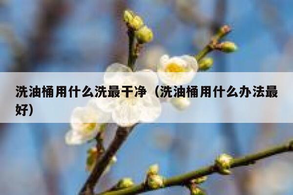 洗油桶用什么洗最干净(洗油桶用什么办法最好) 第1张 洗油桶用什么洗最干净(洗油桶用什么办法最好) 第1张